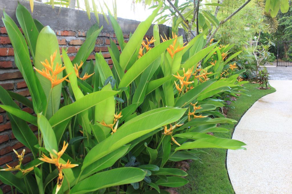 Albany Home Stay Kuta  Buitenkant foto